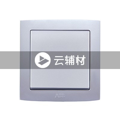 AS101一位单控开关 10AX