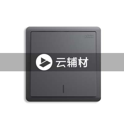 AQ119-EG一位中间带荧光开关 10AX，灰色