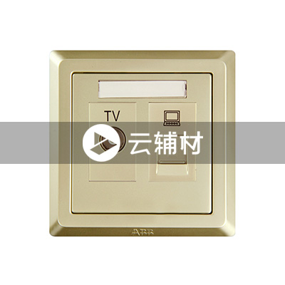 AE325-PG 二位电视/电脑插座（香槟金）