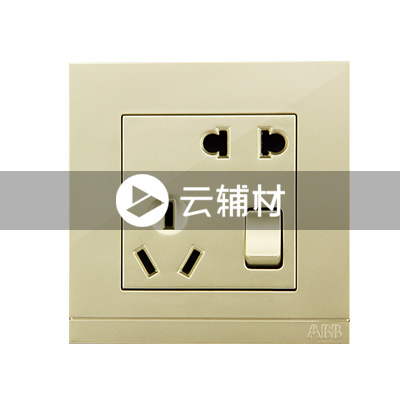 AG22553-PGPG 二位二、三极带开关插座10A,珍珠金