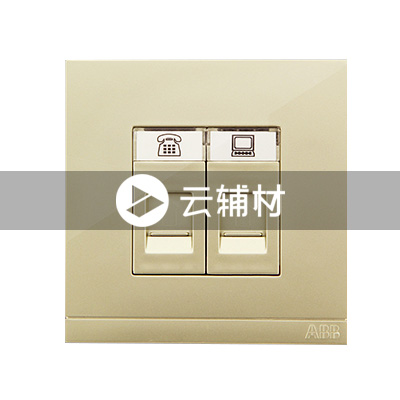 AG32344-PGPG 二位电话/电脑插座，珍珠金