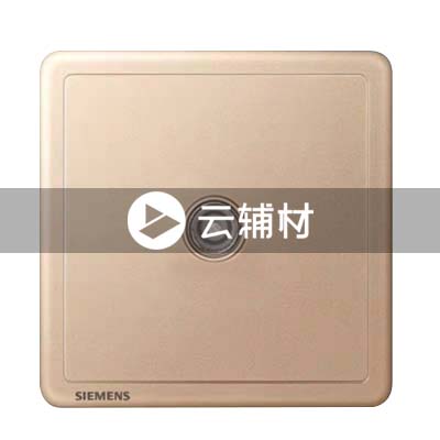 西门子致琦日耀金一位电视插座