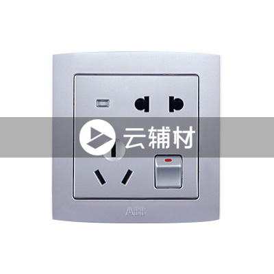 AL226-S二位二、三极带开关带灯插座（银色） 10A