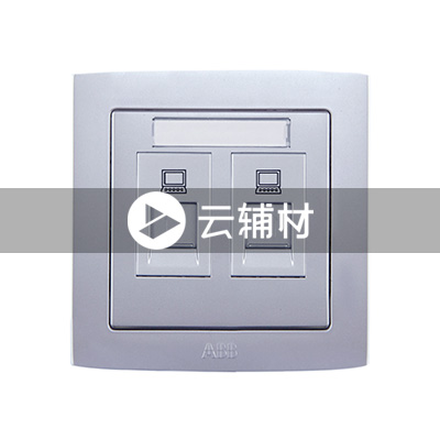 AL332-S二位八芯电脑插座  超5类（银色） RJ45