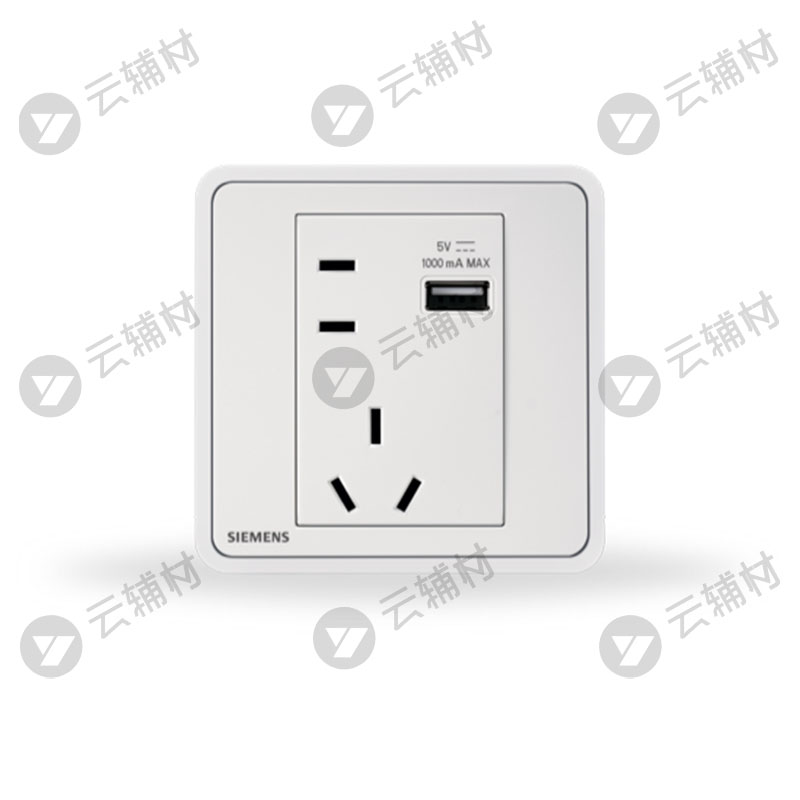 西门子睿绎辰曦白10A联体二三极+1AUSB插座