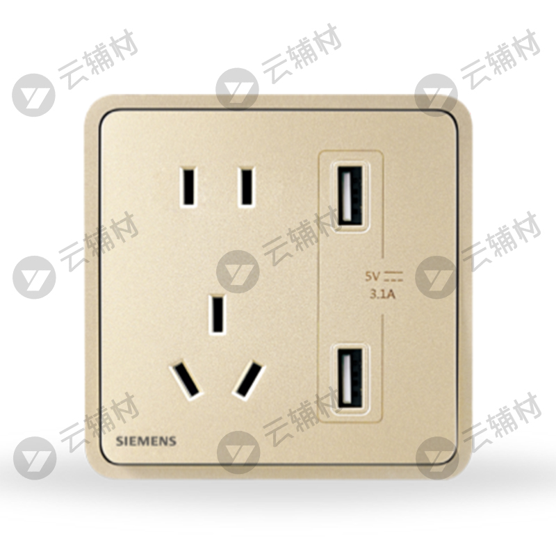 西门子睿绎星辉银10A联体二三极+3.1A二口USB插座