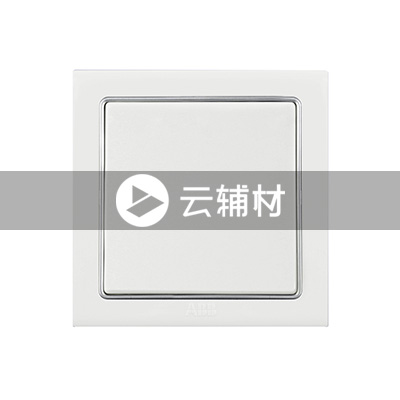 AN101 一位单控开关 10AX (白色)