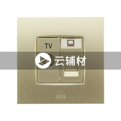 AU32544-PGPG 二位电视/电脑插座 珍珠金